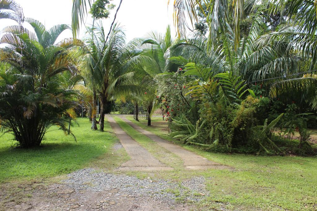 Villas Maria Luisa Uvita Bagian luar foto